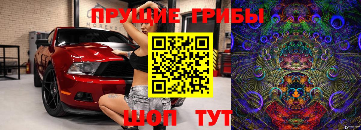 Калач-на-Дону  Галлюциногенные грибы MAGIC MUSHROOMS  Вход с VPN  Псилоцибиновые грибы Psilocybe 